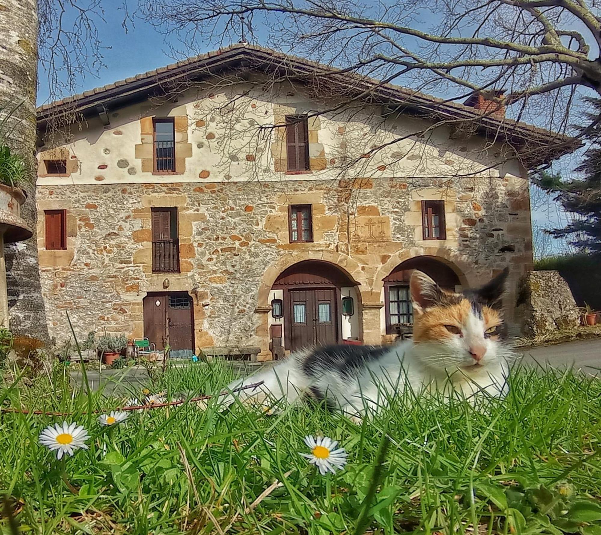 Casa Rural Areano Escoriaza Exterior photo